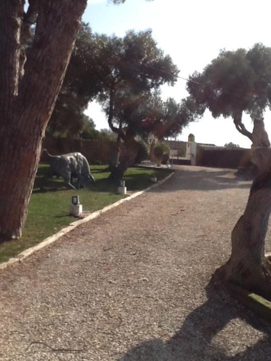 شقة Casa Las Ciguenas مْبيخير ذي لا فرونتيرا المظهر الخارجي الصورة